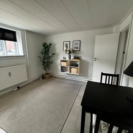 Apartment Cozy Basement Odense