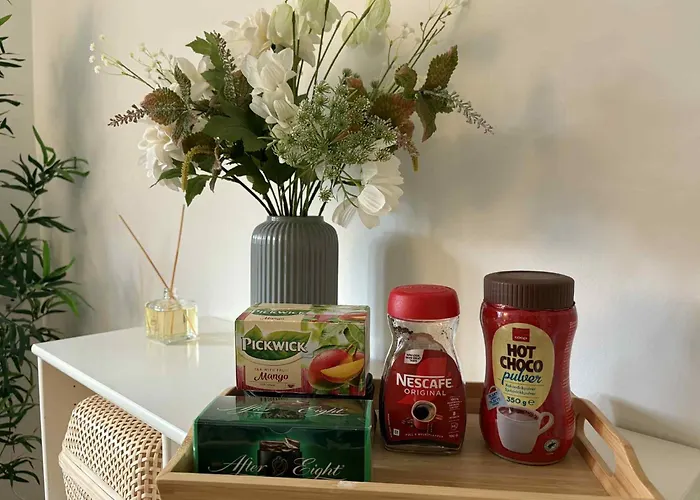 Apartment Cozy Basement *