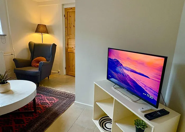 Apartment Cozy Basement Odense